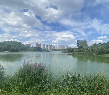 中铁阅山湖D组团(别墅)