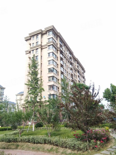 朐山国际,骈邑路4985号-临朐朐山国际二手房,租房,房价-临朐安居客