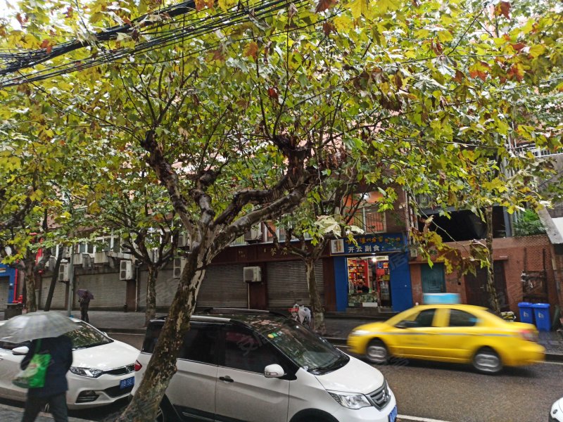 北碚解放路小区