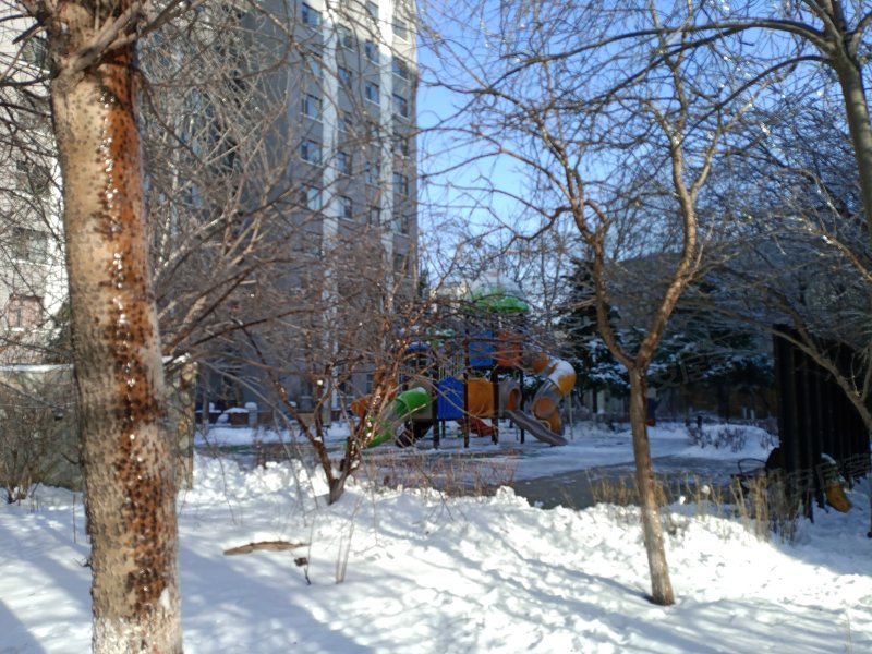 怡景名苑,金川街-长春怡景名苑二手房,租房,房价-长春安居客