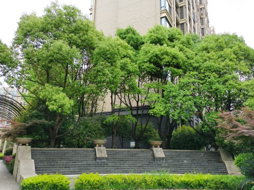 西湖绿洲城二期