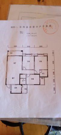 国际花园3室2厅2卫133㎡东50万