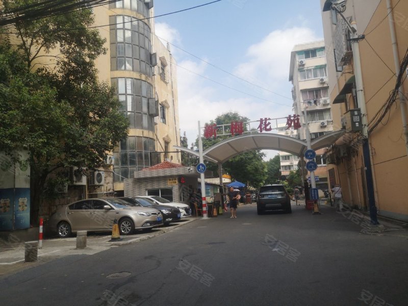 新梅花苑(东区),报春路388弄-上海新梅花苑(东区)二手房,租房,房价