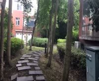 城市经典玉墅(别墅) 