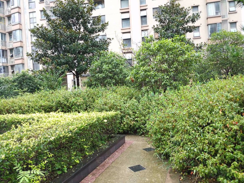 拉德芳斯梧桐花园北苑,恒山路130号-南京拉德芳斯梧桐花园北苑二手房