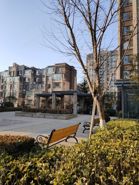 银盛泰星海城,灵山湾路109号-青岛银盛泰星海城二手房,租房,房价-青岛