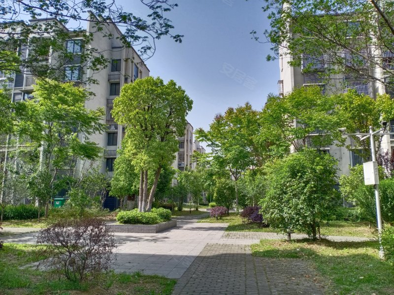 滨江花园,小九华山路,近牛渚路-马鞍山滨江花园二手房,租房,房价