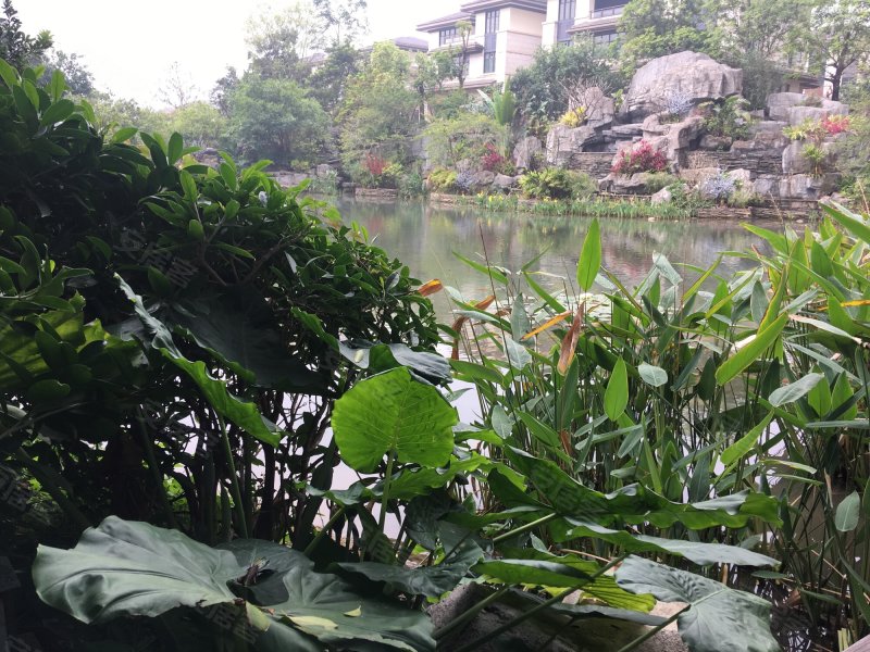 珑城半山,会城大道-江门珑城半山二手房,租房,房价-江门安居客