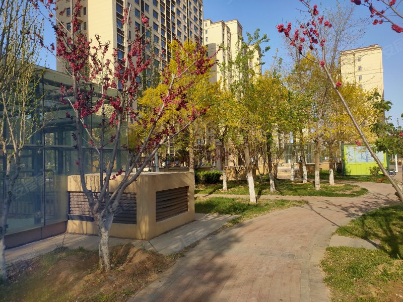 花半里,蒙山路,近北一路-东营花半里二手房,租房,房价-东营安居客