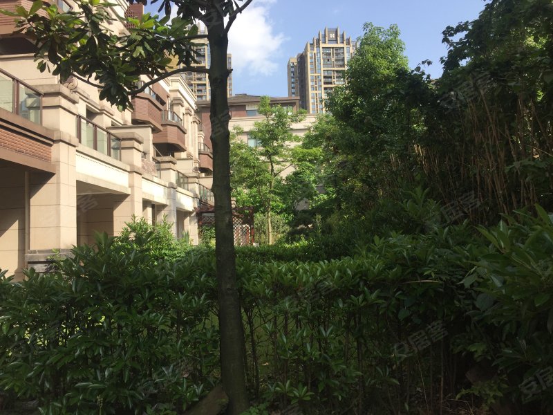 约克郡(南区别墅)