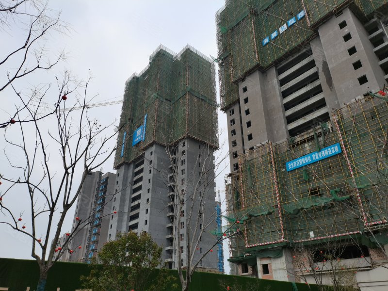 祥源城南之星,颍淮大道,近竹园路-阜阳祥源城南之星二手房,租房,房价