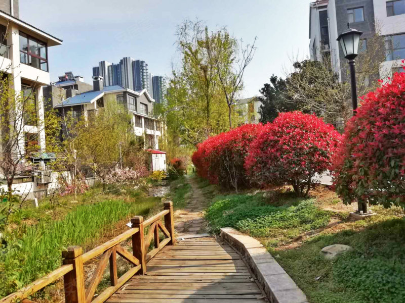 淮海御景湾(别墅,滨河路2号-临沂淮海御景湾(别墅)二手房,租房,房价