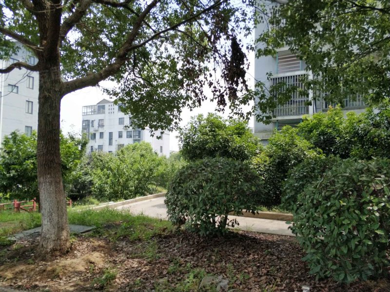 军嶂新村(b区),山水东路,近盘龙北路-无锡军嶂新村(b区)二手房,租房