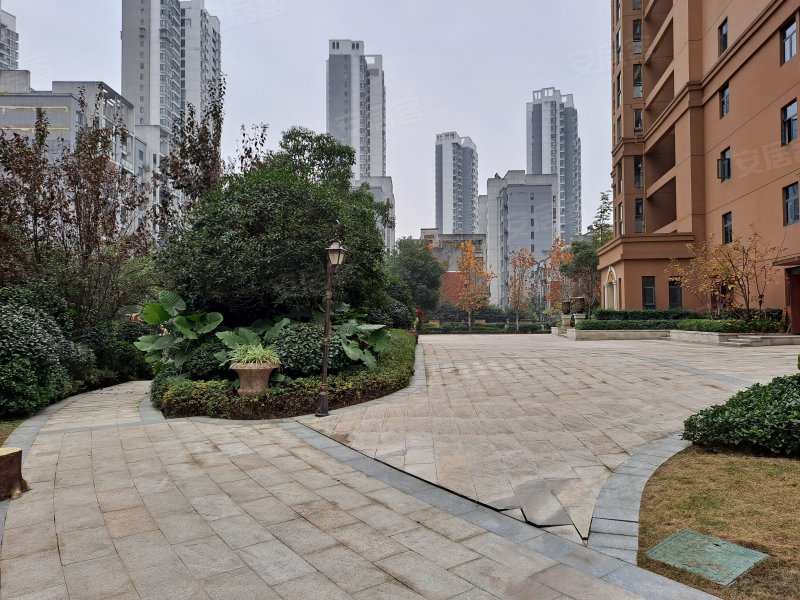 银河东湖雅居a区