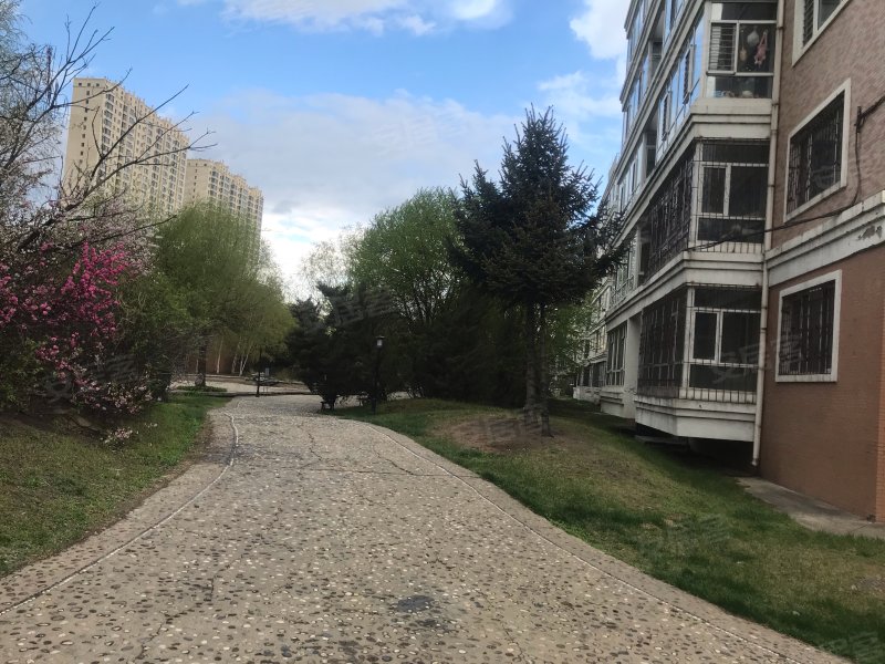 世纪花园(c区),世博路2491号-哈尔滨世纪花园(c区)二手房,租房,房价