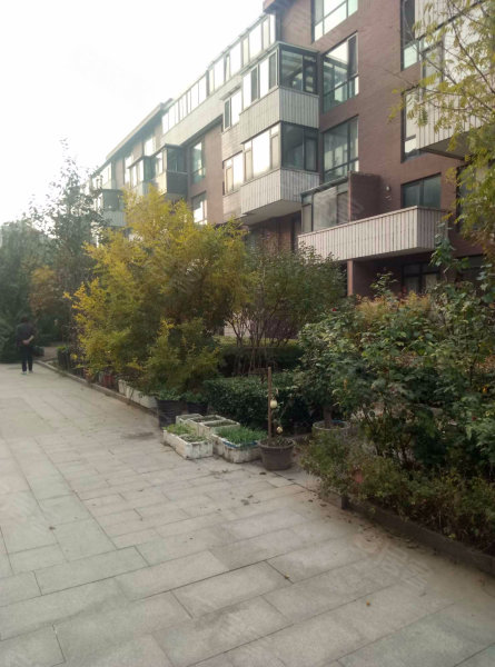 北京褐石园小区图片