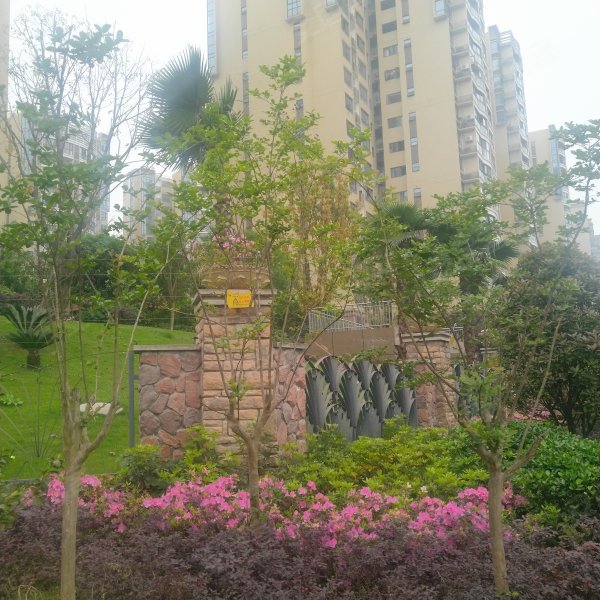 龙源府邸,狮子岩路-宜宾龙源府邸二手房,租房,房价-宜宾安居客