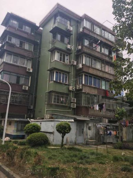 金桥新村一街坊 