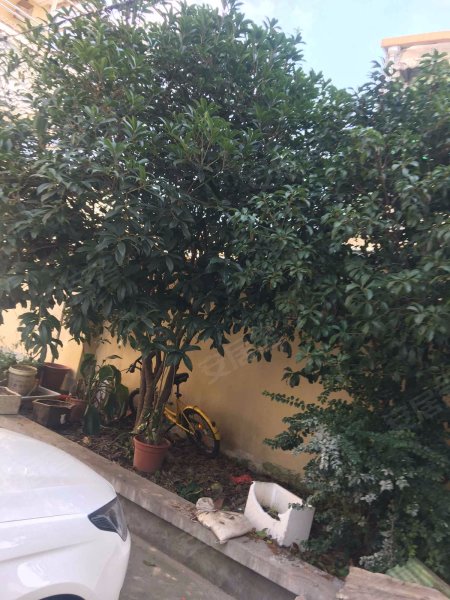 北蔡大街31弄小区 