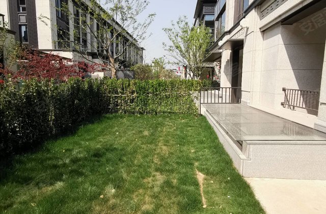 丽丰璞羽山别墅