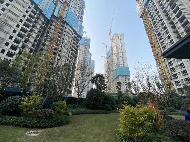 御江壹品青山樽