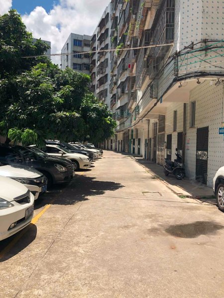 东城花园,澄波街23号-广州东城花园二手房,租房,房价-广州安居客