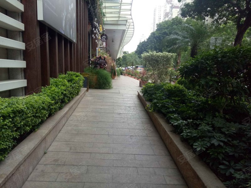 金海湾,滨江东路555号-广州金海湾二手房,租房,房价-广州安居客