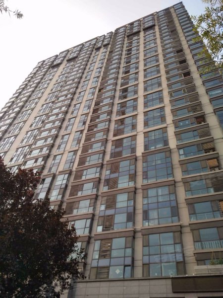 天力大厦,科技四路191号