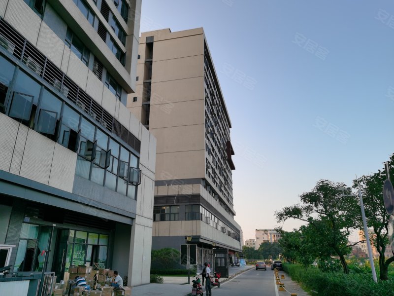 碧桂园星港国际