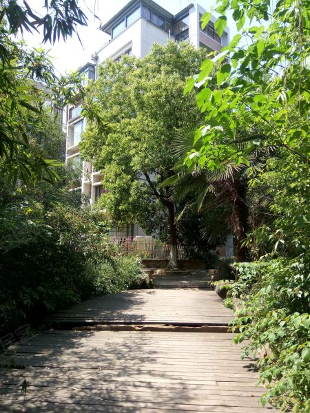 香格里拉花园