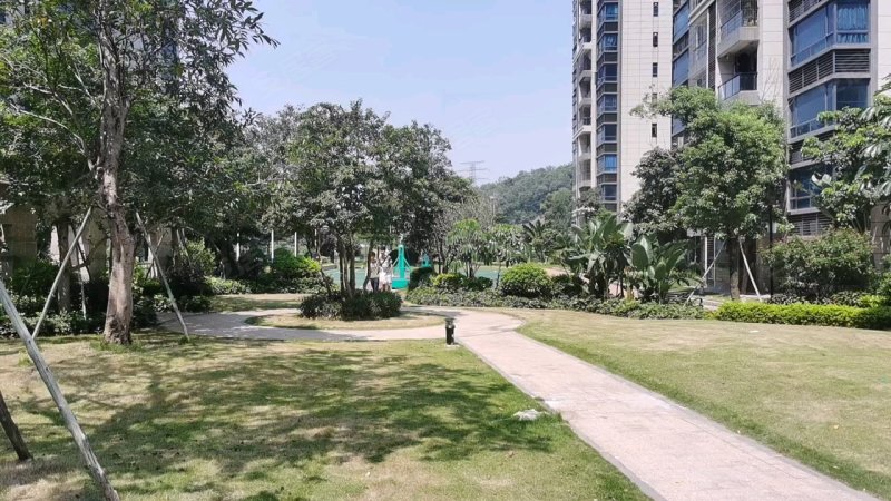 碧桂园越秀西江悦府,甘棠路-江门碧桂园越秀西江悦府二手房,租房,房价