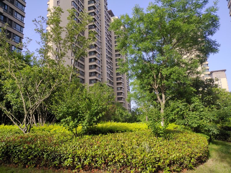 九珑台,双湖大道,近创新路-郑州九珑台二手房,租房,房价-郑州安居客