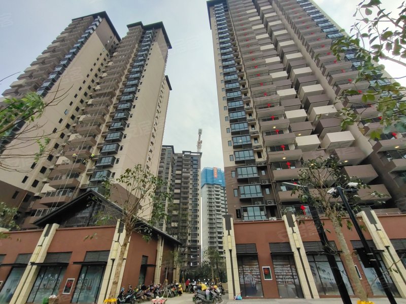 荣和五象学府(北区),金良路26号-南宁荣和五象学府(北区)二手房,租房