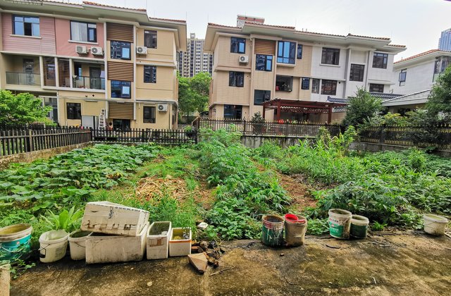 华英城墅景湾(别墅),信安大道-肇庆华英城墅景湾(别墅)二手房,租房