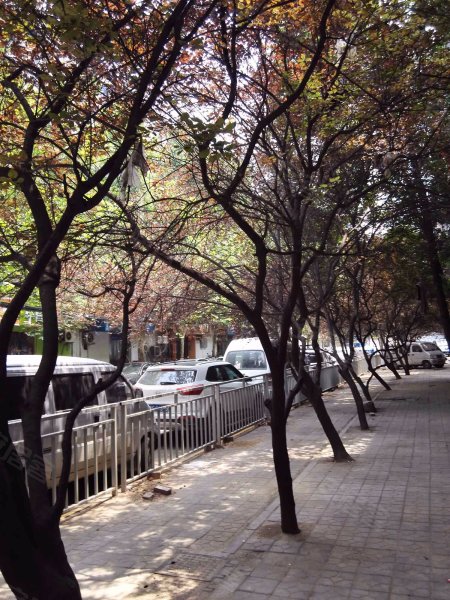 恒业住宅小区,西陈庄前街-郑州恒业住宅小区二手房,租房,房价-郑州