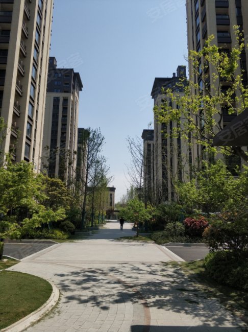 万城雅园3室2厅1卫高性价比价格可谈诚心出售一梯两户好楼层