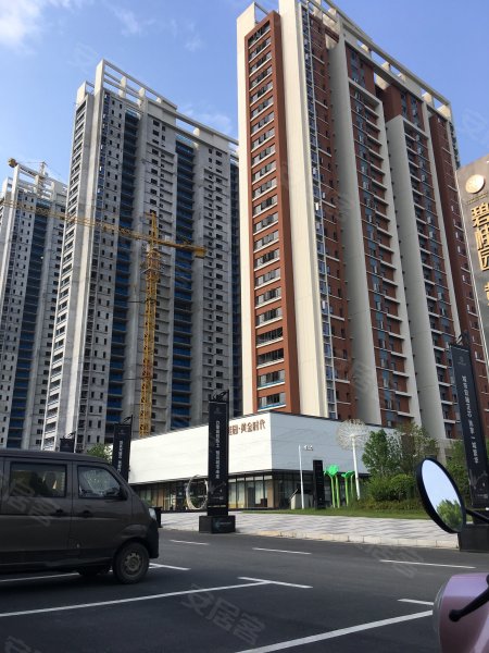 碧桂园黄金时代