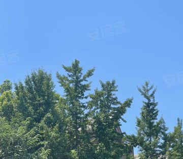 新虹桥君悦湾墅