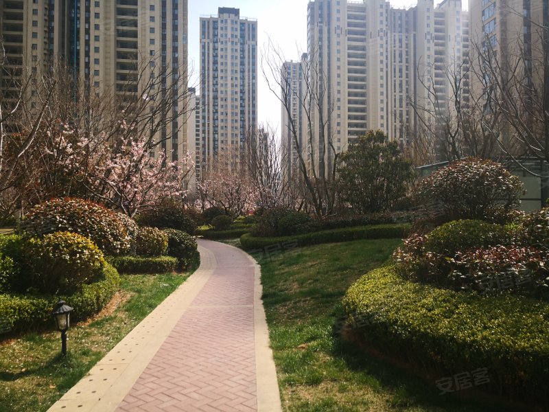海尔世纪公馆,蚌埠路15号-青岛海尔世纪公馆二手房,租房,房价-青岛