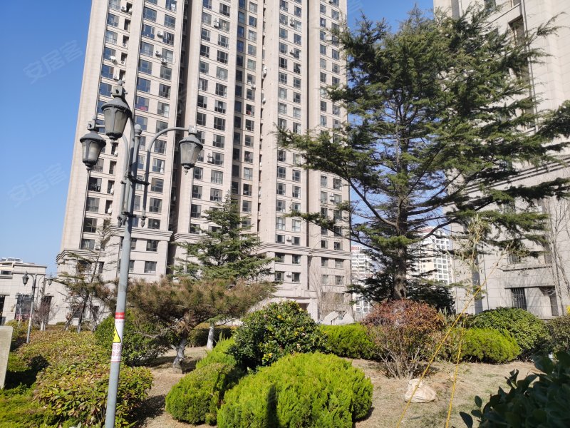 安然龙跃国际二期,黄海路21号-威海安然龙跃国际二期二手房,租房,房价