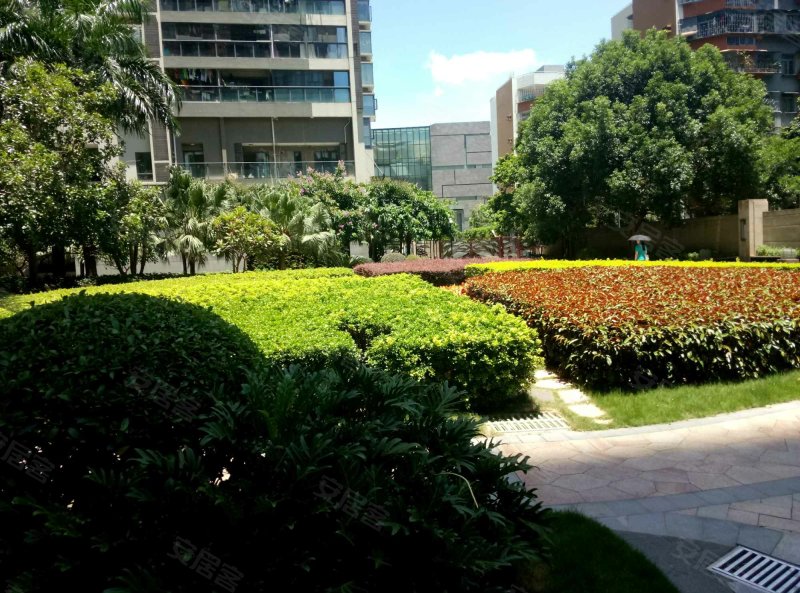 田厦翡翠明珠花园,金鸡路1号-深圳田厦翡翠明珠花园二手房,租房,房价
