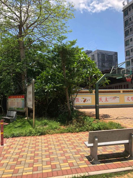 金环大厦,金鼎路-海口金环大厦二手房,租房,房价-海口安居客