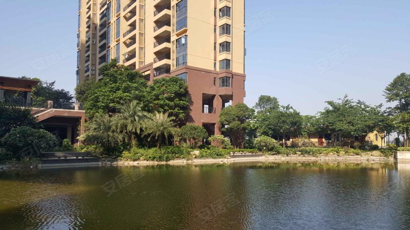 美立方花园,红星南路19号-佛山美立方花园二手房,租房,房价-佛山安居