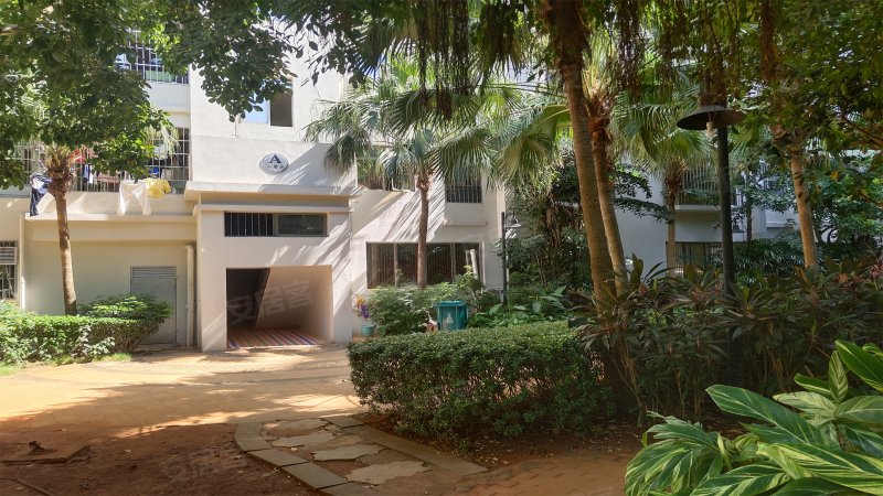 橡树园,文明东路46号-海口橡树园二手房,租房,房价-海口安居客