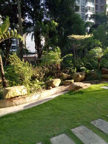 第5大道高发西岸花园