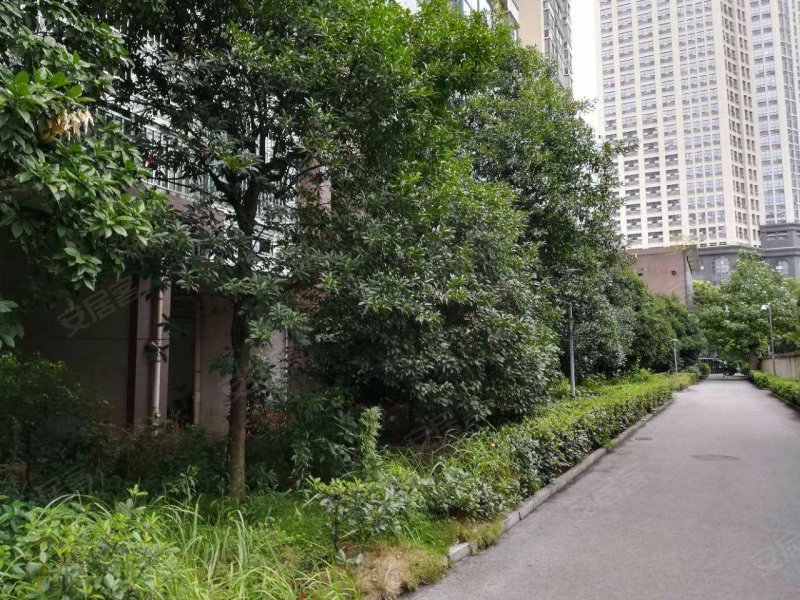 新城首座,珠江南路491号-株洲新城首座二手房,租房,房价-株洲安居客