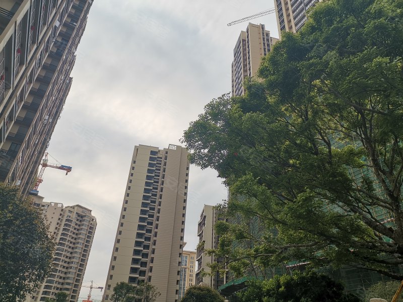 彰泰金桥水岸,人民路,近万福路-桂林彰泰金桥水岸二手房,租房,房价