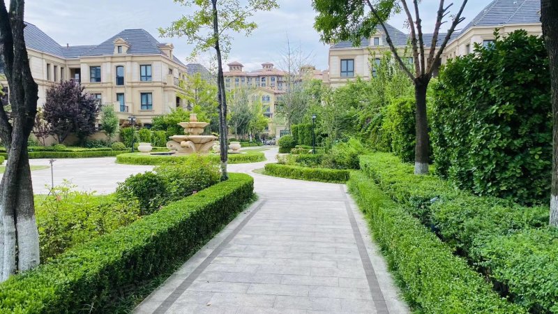 理想之城玫瑰园