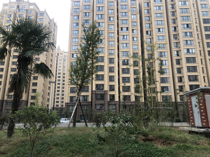 南海国际,兴鹤大街-鹤壁南海国际二手房,租房,房价-鹤壁安居客