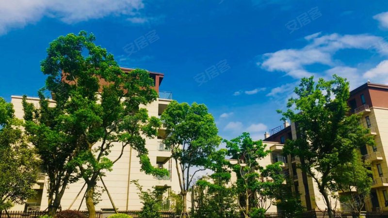 中洲碧桂园花溪源著